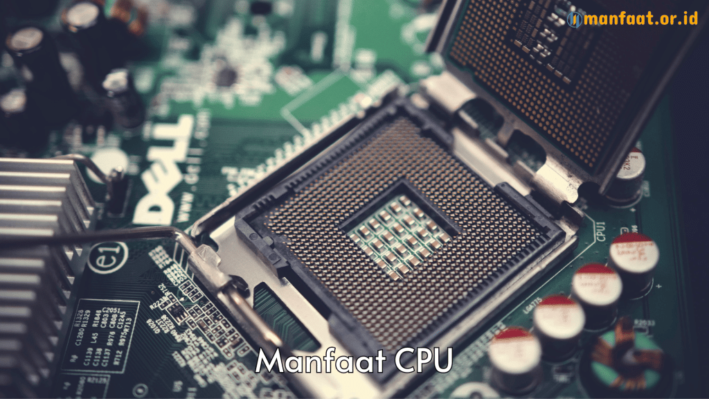 manfaat cpu