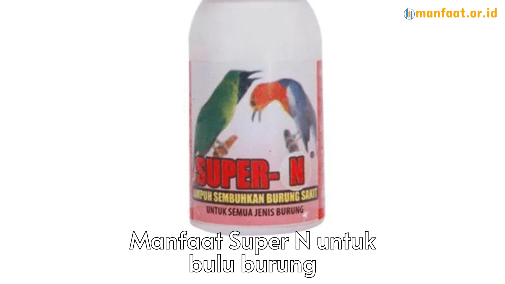 manfaat super n untuk bulu burung