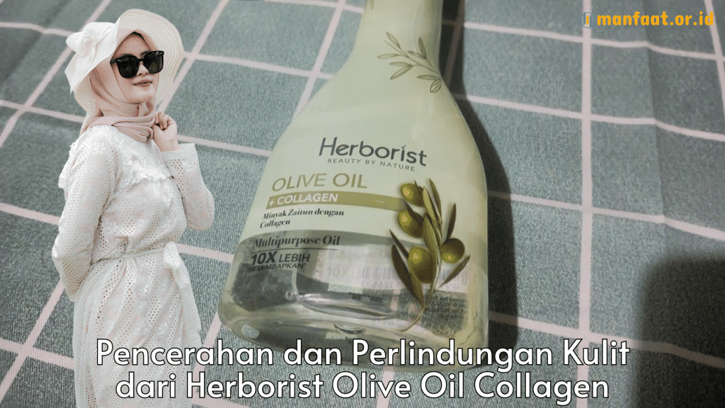 pencerahan dan perlindungan kulit dari herborist olive oil collagen