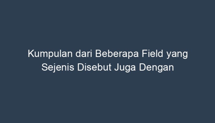 kumpulan field: definisi, jenis, dan penggunaannya