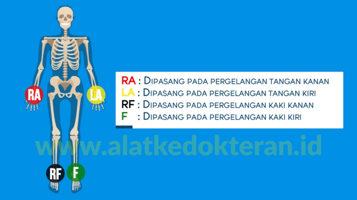 gerak berjalan: kedua kaki bergantian