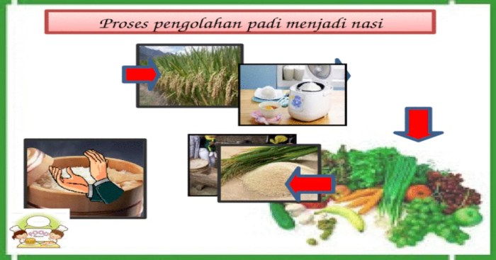 interaksi pengolahan padi menjadi beras: dari panen hingga penyimpanan