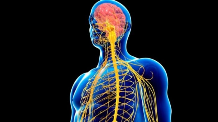 teknologi canggih untuk memahami dan memanipulasi sistem saraf