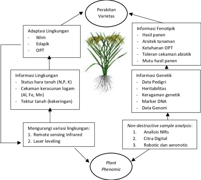 interaksi pengolahan padi menjadi beras: dari panen hingga penyimpanan