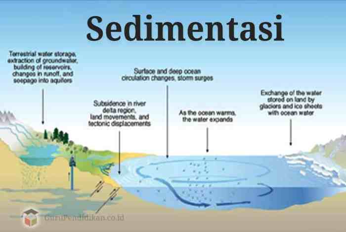 bentuk-bentuk sedimentasi marine di indonesia: keanekaragaman ekosistem laut