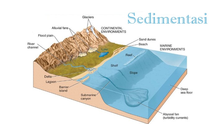 bentuk-bentuk sedimentasi marine di indonesia: keanekaragaman ekosistem laut