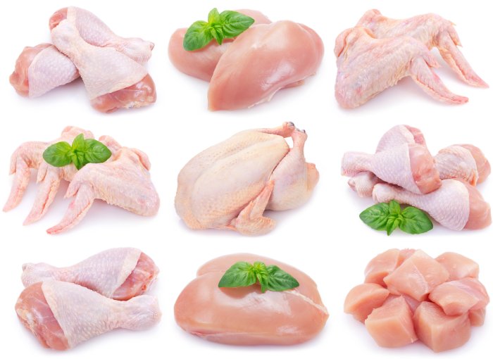mengenal komponen karkas ayam: dari tulang hingga lemak