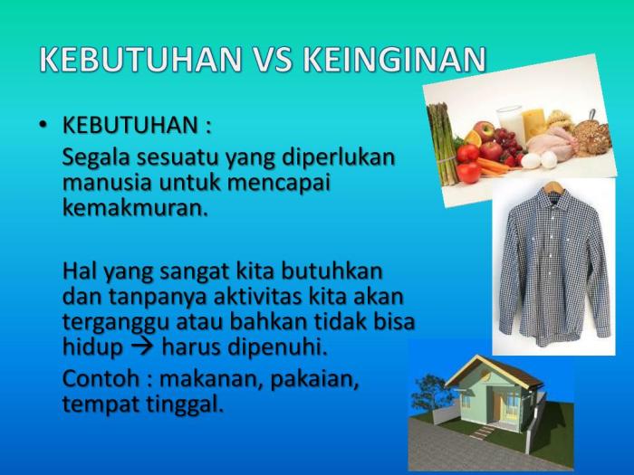 jelaskan perbedaan kebutuhan dan kebutuhan ekonomi