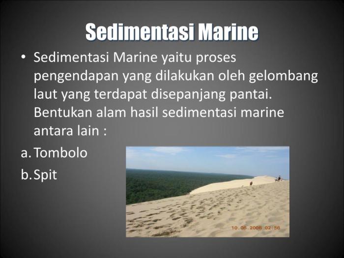 bentuk-bentuk sedimentasi marine di indonesia: keanekaragaman ekosistem laut