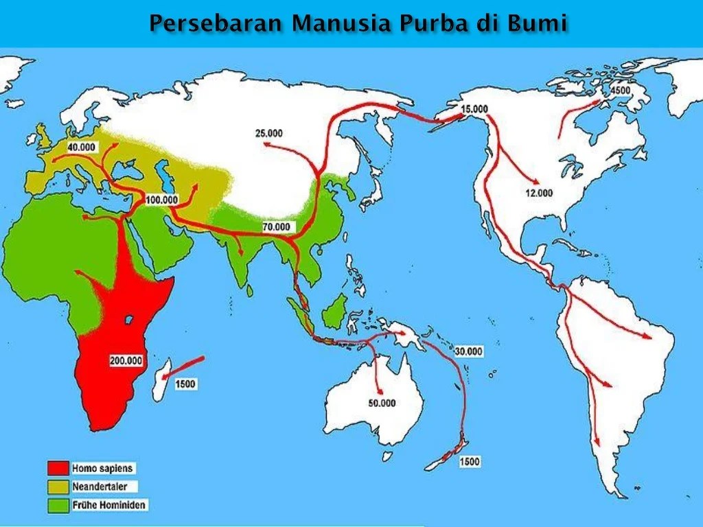 peta persebaran manusia purba indonesia: menelusuri jejak sejarah manusia