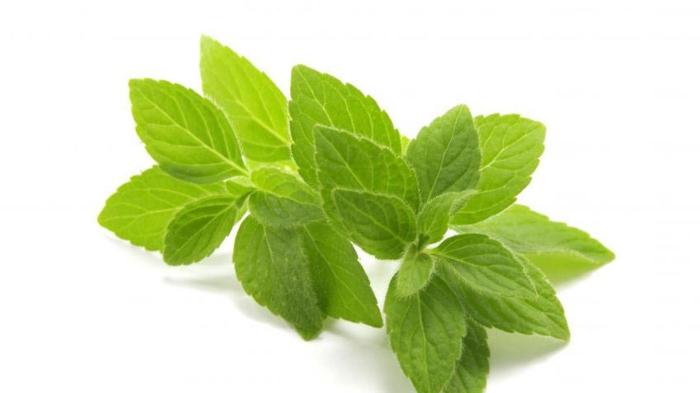 manfaat daun mint untuk wajah: rahasia kecantikan alami