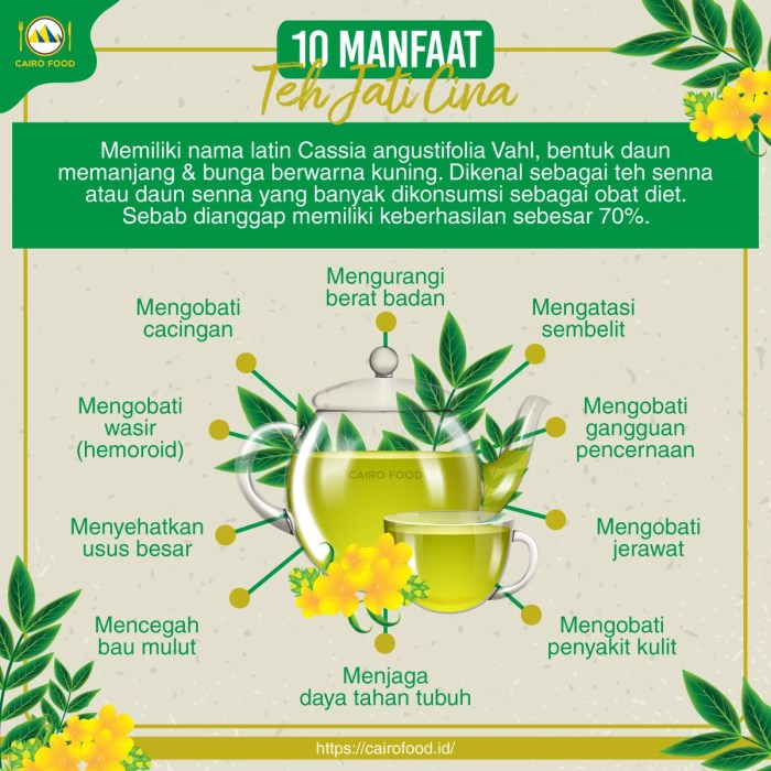 manfaat teh daun jati: khasiat tradisional dan ilmiah