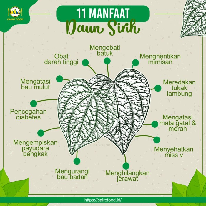 manfaat daun sirih: solusi alami untuk jerawat wajah