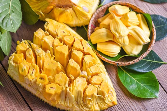 manfaat daun nangka kuning untuk kesehatan dan kecantikan