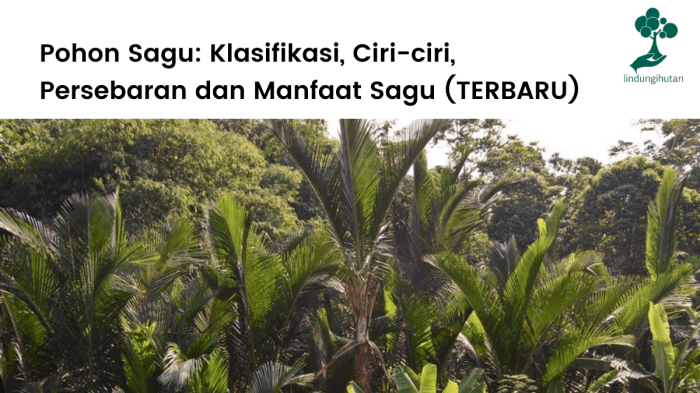 manfaat daun sagu: harta karun dari hutan