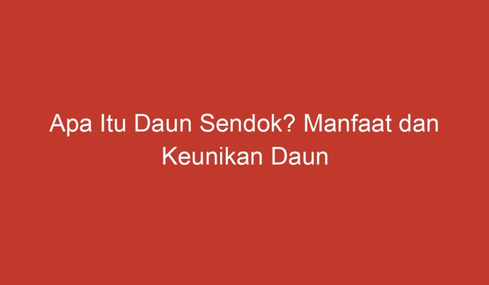 daun sendok: manfaat kesehatan dan cara menggunakannya