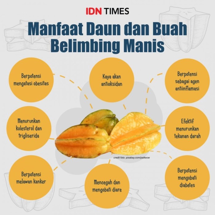 manfaat daun belimbing manis: ramuan ajaib untuk kesehatan