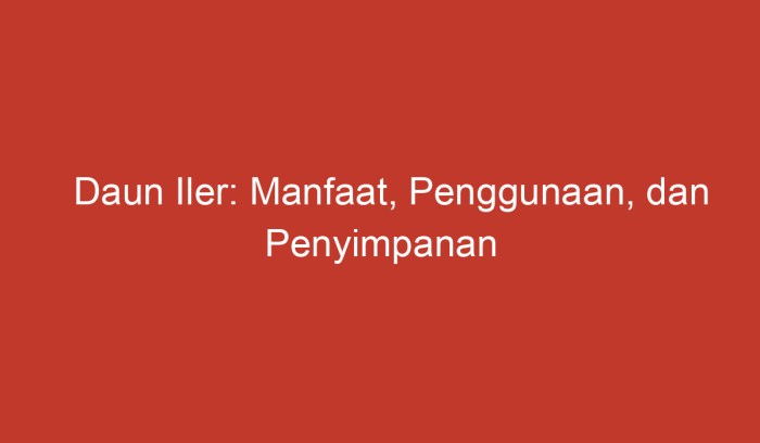 manfaat daun iler: khasiat kesehatan, kecantikan, dan pertanian