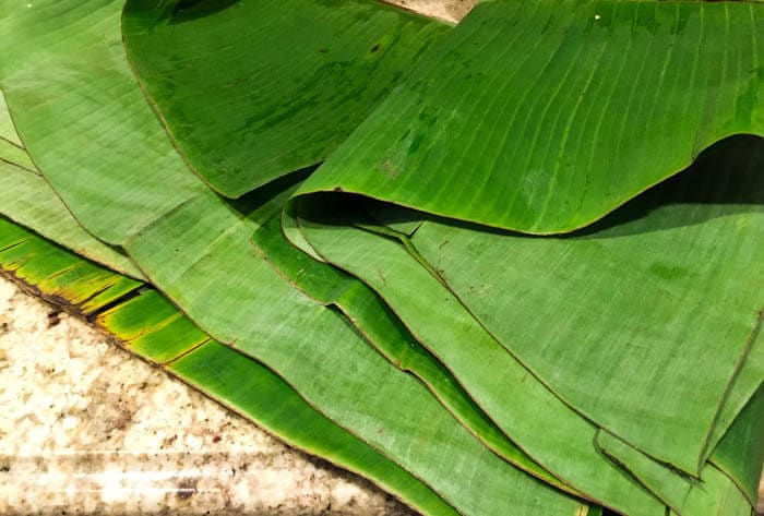 manfaat serbaguna abu daun pisang: dari pertanian hingga seni