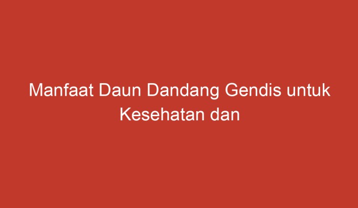 manfaat daun dandang gendis: sehat dan serbaguna