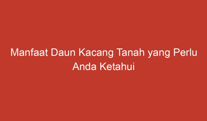 manfaat daun kacang: kaya antioksidan, anti-inflamasi, dan khasiat obat