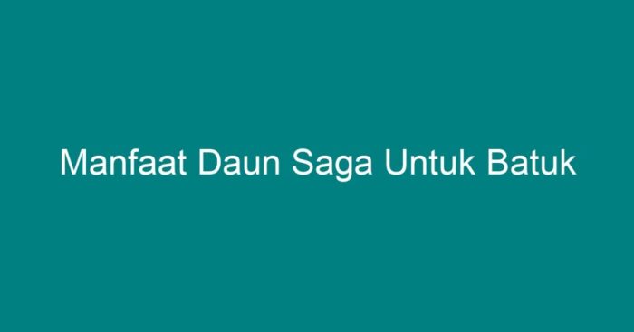 manfaat daun saga: solusi alami untuk batuk berdahak