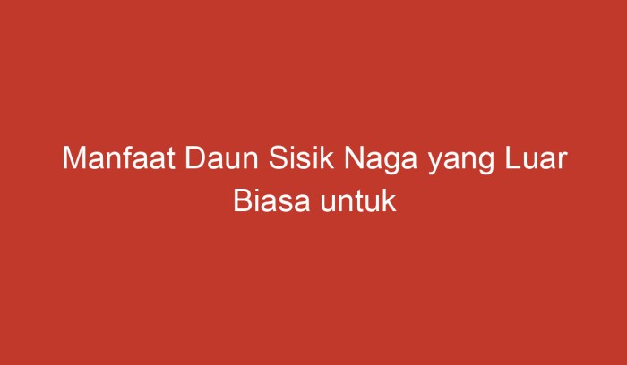 manfaat daun sisik naga untuk kesehatan: menjaga jantung, pencernaan, dan kulit