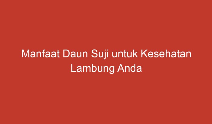 manfaat daun suji untuk kesehatan lambung: redakan gangguan pencernaan