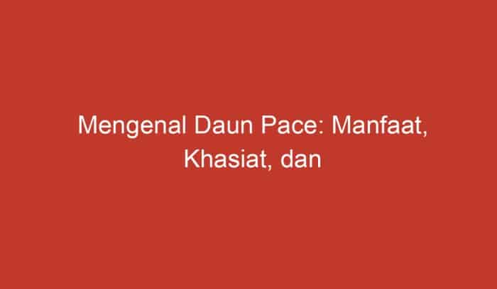 manfaat luar biasa daun pace untuk kesehatan dan kecantikan