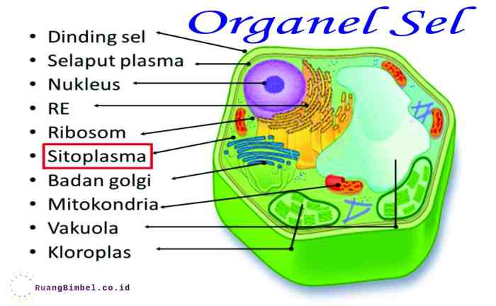 penyusun foto untuk mengatur kerapatan dan warna