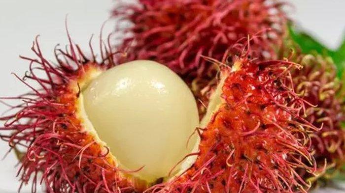 manfaat luar biasa rebusan daun rambutan untuk kesehatan