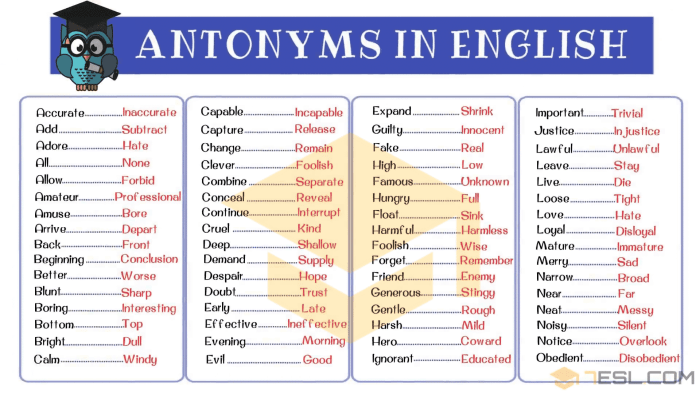 contoh soal antonim dan sinonim untuk penguasaan bahasa