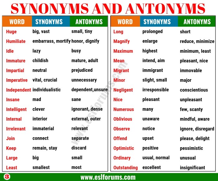 contoh soal antonim dan sinonim untuk penguasaan bahasa