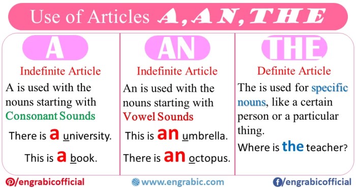 contoh soal penggunaan artikel a, an, the dalam bahasa inggris