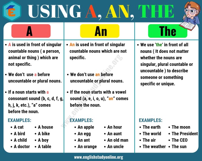 contoh soal penggunaan artikel a, an, the dalam bahasa inggris