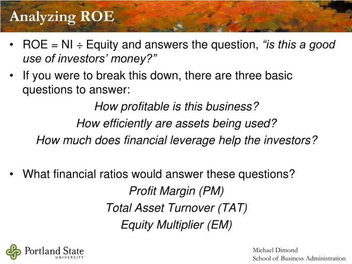 contoh soal return on equity (roe) untuk evaluasi kinerja perusahaan