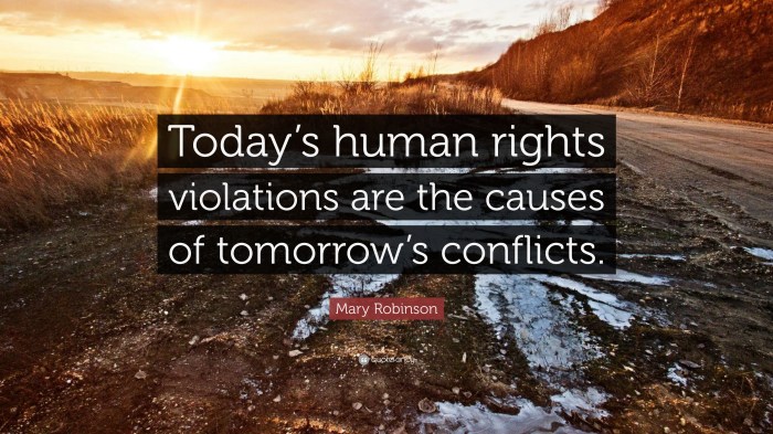 1461161 mary robinson quote today s human rights violations are the causes