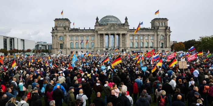 afd demo berlin 1