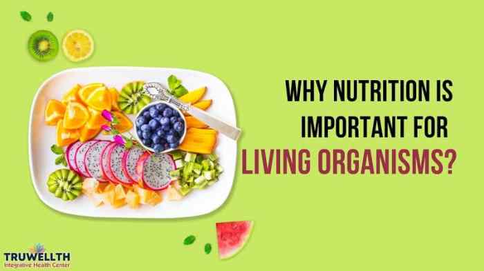 why nutrition is important for living organisms