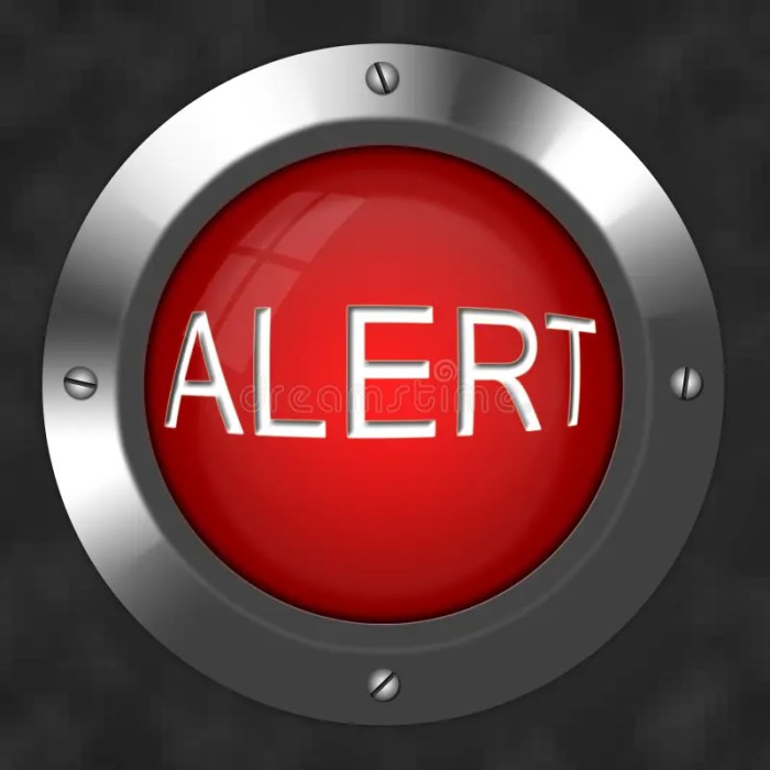 alert button 13022415