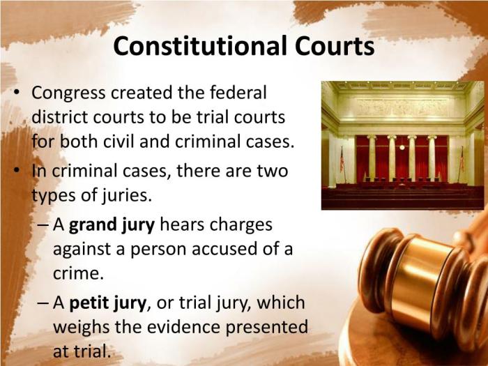 constitutional courts l