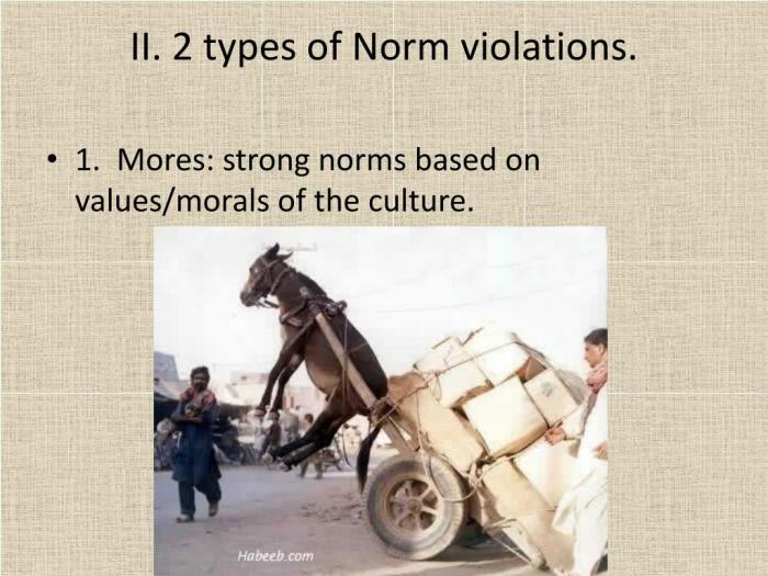 ii 2 types of norm violations l