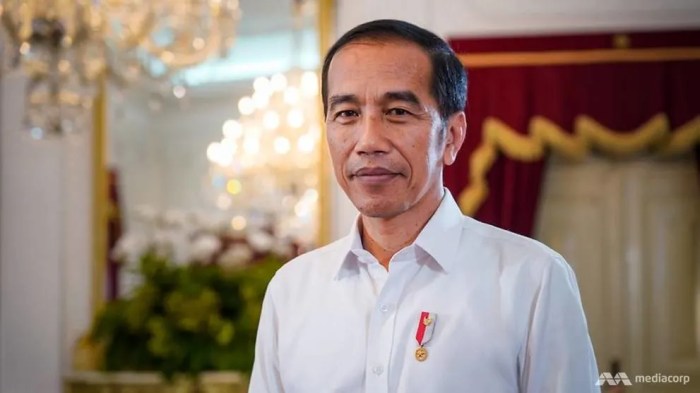 jokowi interview