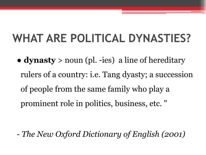 what are political dynasties l